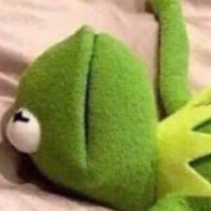 Meet your Posher, Shane